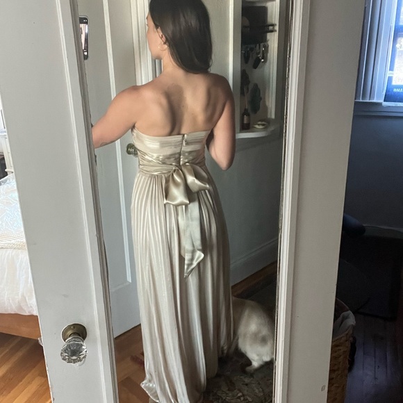 BCBG Maxazria Chiffon champagne floor length dress size 2 - Picture 6 of 8